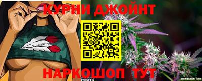 mdpv Владикавказ