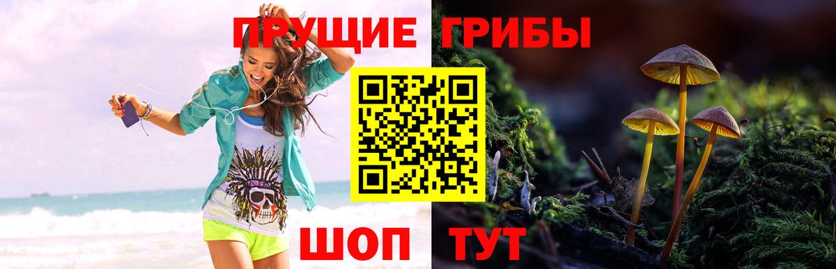 Галлюциногенные грибы MAGIC MUSHROOMS  Вход с VPN  Казань  Псилоцибиновые грибы Cubensis 